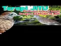 Download Lagu TERAPI JITU PERKUTUT MACET BUNYI di iringi suara gemericik air