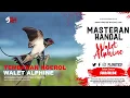Download Lagu TEMBAKAN NGEROL PANJANG || WALET ALPHINE || COCOK UNTUK MASTERAN BURUNG JUARA