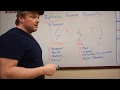 Triphasic Ranged Plyometric Method Part 1 Intro Facebook Group