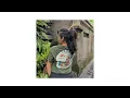 Download Lagu DJ APA KAU AMNESIA FUNKOT VIRAL - DJ FIRDAUSZZ