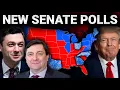 The 2026 Senate Map According To The Latest Polls