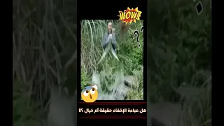 هل عباءة الإخفاء حقيقة أم خيال جنون تكنولوجيا التخفي المذهلة Trendingshorts Shorts Military 