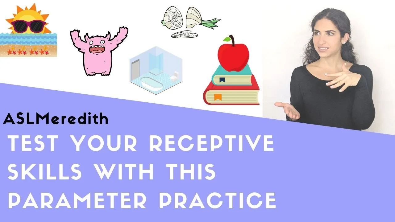 ASL Minimal Pairs: Sign Parameters Practice Exercise