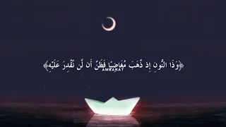 فنادى في الظلمات أن لا إله إلا أنت سبحانك إني كنت من الظالمين   منصور السالمي دندنها