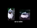 Lagu Two Birds on a wire(meme template)