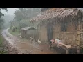 Download Lagu REGENSEIZOEN IN LANDELIJK AZIË, WANDELEN IN DE MEEST RUSTGEVENDE REGENSTORM
