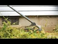 1st Time Using Cordless String Trimmer HART 40 Volt 15-inch Trimmer To Real Life Demo