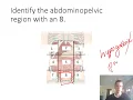 Practice Lab Practical 1 for A P I