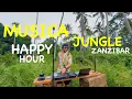 Lagu MUSICA HAPPY HOUR JUNGLE MIX – Coldplay,  AVICII, Lenny Kravits , James Blunt, Zerb, Hugel, OFENBACH