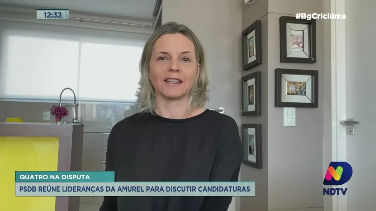Karina Manarin repercute reuniões do PSDB para definir candidatos na região Sul