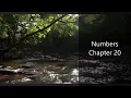The Book of Numbers Chapter 20 - New King James Version NKJV