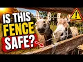 One hot summer one BIG fence problem