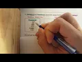 4NBT5 standard algorithm vs area model