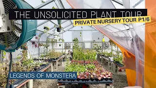 Download Unsolicited Plant Tour Part 1/6 | Private Houseplant Nursery | Rare Monstera Philodendron Hoyas MP3