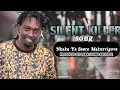 Download Lagu Silent Killer - Nhaka YaSauro Makuzvigova(2021)