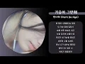 박다혜 (Park Da Hye) - 가슴아 그만해
