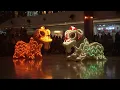 Spectacular LED Lion Dance Performance Chinese New Year 2026 Bagatelle Mauritius