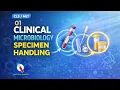 01 Clinical Microbiology Specimen Handling Explained CLS MLT Study Guide
