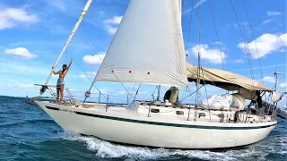 HAPPY HOLIDAYS from Grand Cayman 🎅 🌴