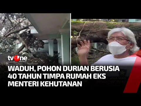 Hujan Angin, Pohon Durian Tumbang dan Timpa Rumah Eks Menteri Kehutanan