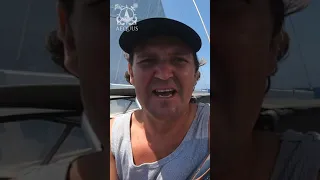 Why you need AIS on a sailboat #Shorts