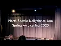 Al Bint El Shalabiya - Michelle at the North Seattle Bellydance Jam
