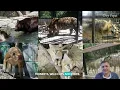 Top Things to Do in Folsom CA 2025 Guide Living in Folsom California