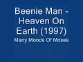 Beenie Man   Heaven On Earth 1997