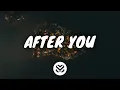 Gryffin \u0026 Jason Ross - After You (Lyrics) ft. Calle Lehmann