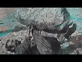 Forest Swords – Exalter (Official Audio) - Forest Swords