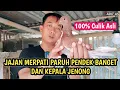 Download Lagu Beli Merpati Culik Paruh Kecil Banget Calon Incaran warga nih‼️