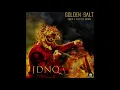 JDNQ Opening Theme - Golden Salt - Violin & Electric Guitar