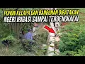 Lagu NGERI IRIGASI SAMPAI TERBENGKALAI ❗ POHON KELAPA DAN BANGUNAN DIRATAKAN
