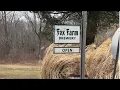 Great Places to Visit in New England - Fox Farm Brewery in Salem Connecticut
