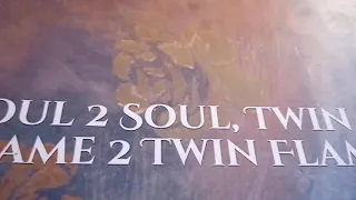 Twin Flames Synchronicity meets Destiny - Letter 110