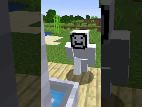 Vaso Perigoso no Minecraft 🚽💚 @duolingobroficial *publi