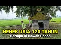 Download Lagu Lagi Viral.! Nenek Usia 120 Tahun Bertapa Di Bawah Pohon Dapat Togel Jitu