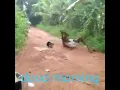 funny GIF