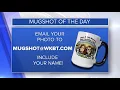 Mug Shot of the Day - Raleigh from Genoa