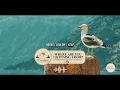 Easy Morning Indie Folk | Soft Duets for Hope, Home & Healing