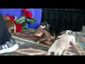 Dachshund Mix Puppies For Sale John Stoltzfus