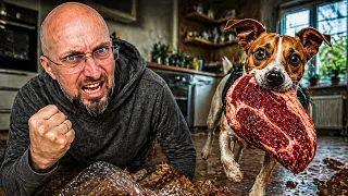 ХИТРЫЙ план...Она ворвалась в дом и сделала ЭТО...