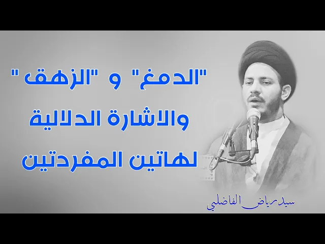 ⁣تعبير الدمغ و الـ زهق في معركة الحق ضد الباطل | سيد رياض الفاضلي