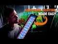 Best Lighting for Planted Tanks Made Simple