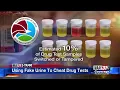 Using Fake Urine To Cheat Drug Tests