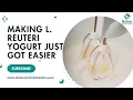 Making L reuteri yogurt just got easier