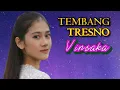 Lagu TEMBANG TRESNO Versi Mandarin (DUET) | Energetic Cover – Vinsaka