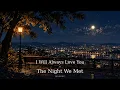 I Will Always Love You x The Night We Met