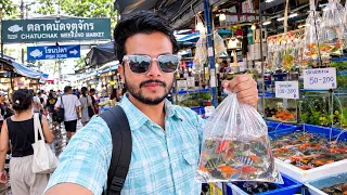 Visited again😜The Chatuchak Weekend Fish Market, Thailand