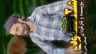 فیلم کوردی شوتی 2 